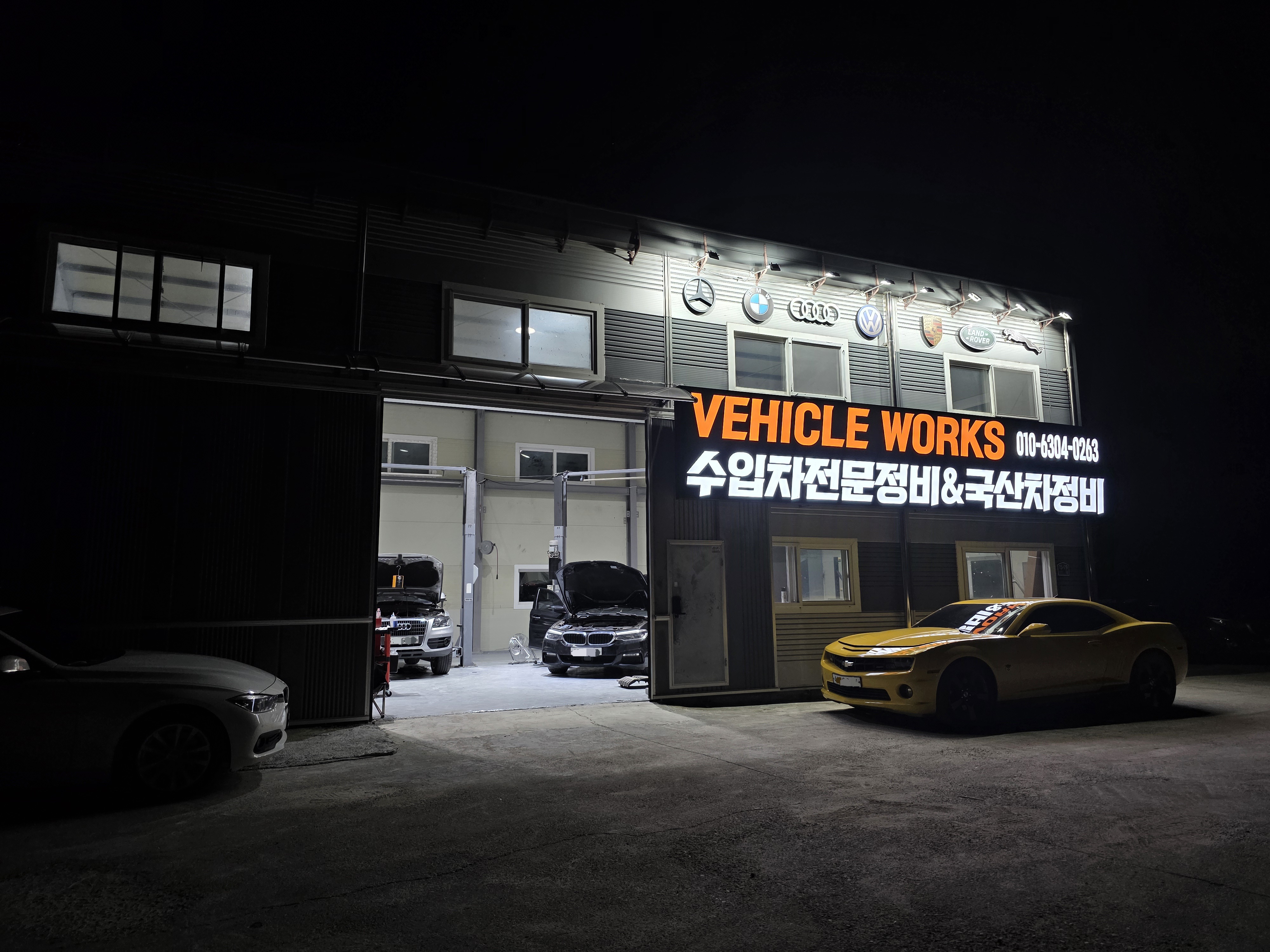 심미적인무당벌레